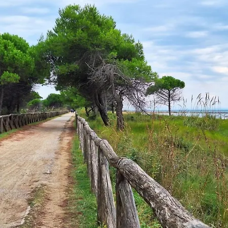 Fully Equipped With Shared Pool Apartment